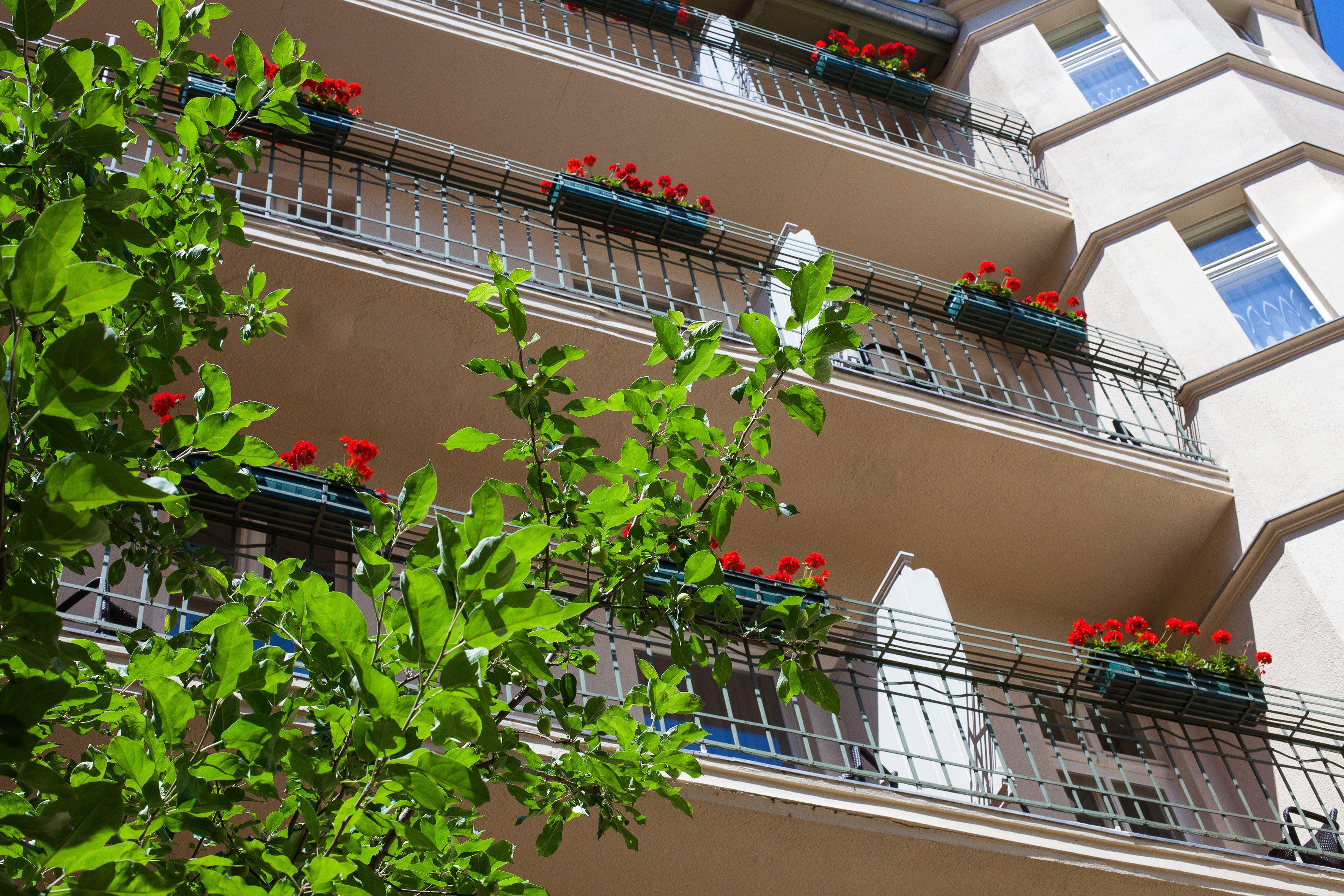 Hotel & Apartments Zarenhof Berlin Prenzlauer Berg — Photos 3